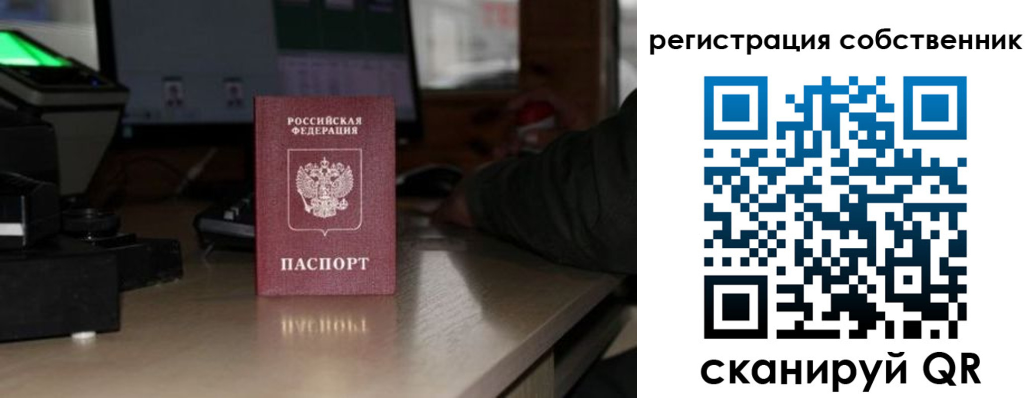 прописка поиск в Мамадыше